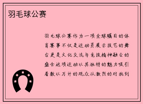 羽毛球公赛